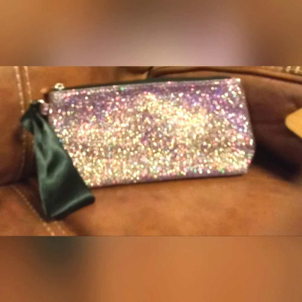 Mary Kay holiday make up bag